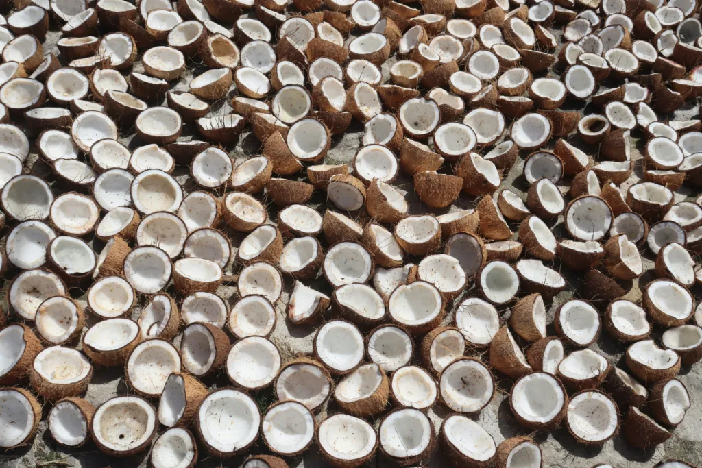 Coconut Shells Image